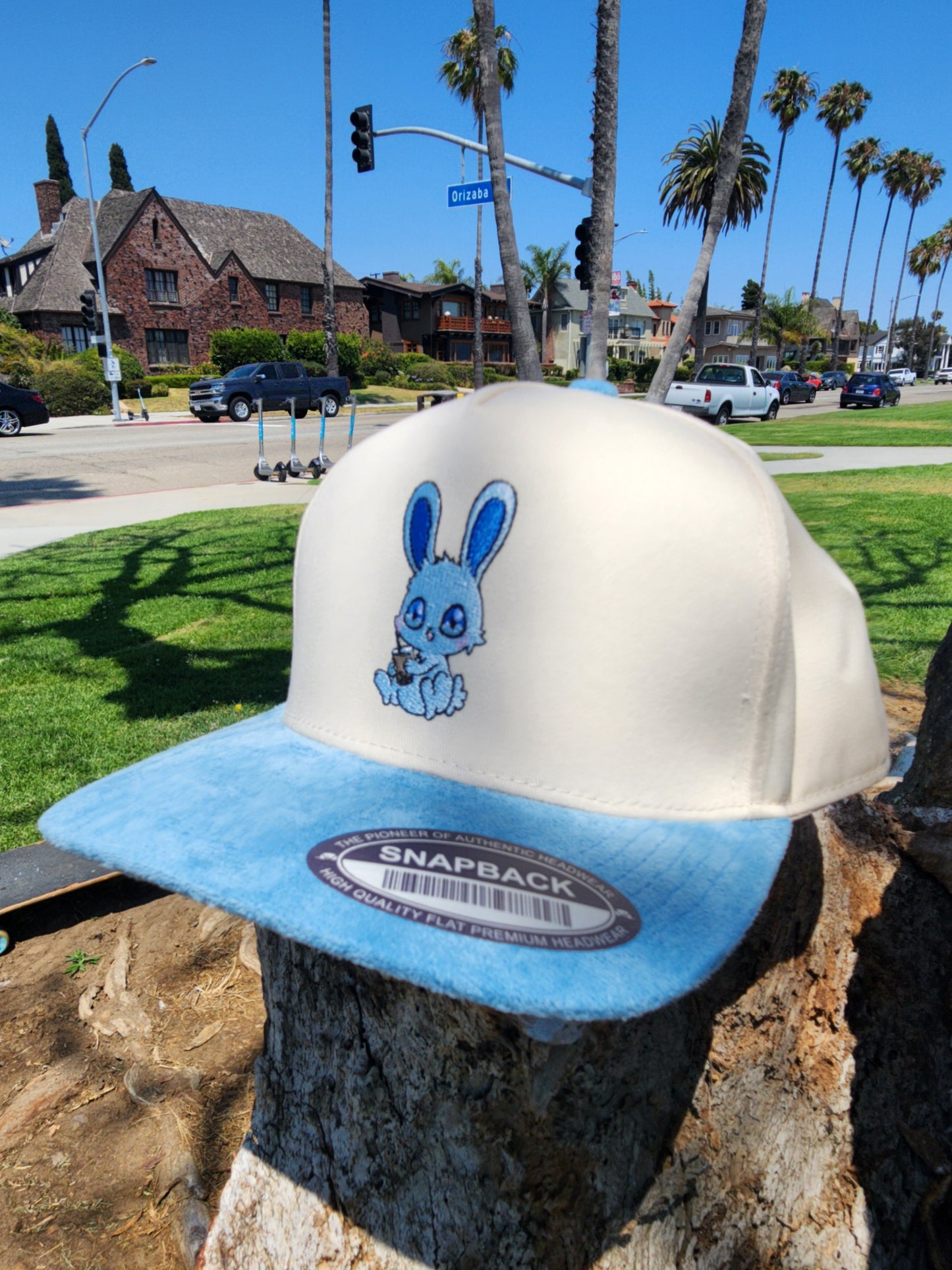 Blueberrybunny  Cloud Dream Snapback
