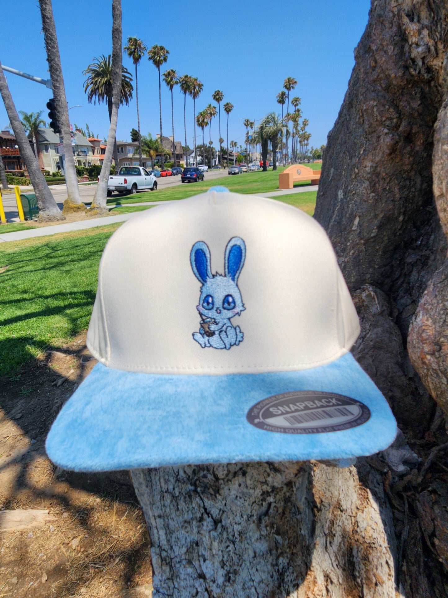 Blueberrybunny  Cloud Dream Snapback